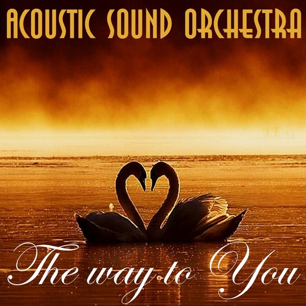 Acoustic Sound Orchestra - The Way To You
